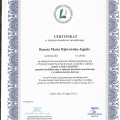 Powiększ obraz: certificate 3
