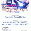 Powiększ obraz: certificate 34