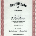 Powiększ obraz: certificate 6