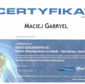 Powiększ obraz: certificate 12
