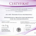 Powiększ obraz: certificate 26