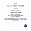 Powiększ obraz: certificate 2