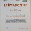 Powiększ obraz: certificate 15