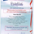 Powiększ obraz: certificate 2