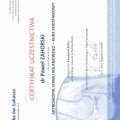 Powiększ obraz: certificate 4