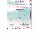 Powiększ obraz: certificate 1