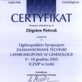 Powiększ obraz: certificate 28