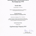 Powiększ obraz: certificate 7
