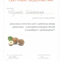 Powiększ obraz: certificate 9