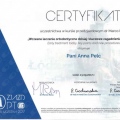 Powiększ obraz: certificate 2