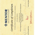 Powiększ obraz: certificate 13