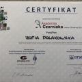 Powiększ obraz: certificate 20