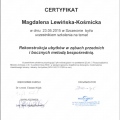 Powiększ obraz: certificate 12