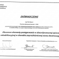 Powiększ obraz: certificate 16