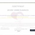 Powiększ obraz: certificate 2