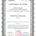 Powiększ obraz: certificate 6