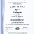 Powiększ obraz: certificate 5