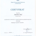 Powiększ obraz: certificate 11