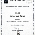 Powiększ obraz: certificate 3