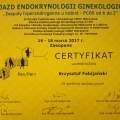 Powiększ obraz: certificate 3