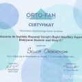 Powiększ obraz: certificate 3