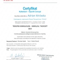 Powiększ obraz: certificate 3