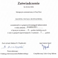 Powiększ obraz: certificate 26