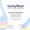 Powiększ obraz: certificate 1