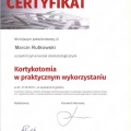 Powiększ obraz: certificate 6