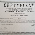 Powiększ obraz: certificate 2