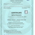 Powiększ obraz: certificate 4
