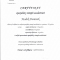 Powiększ obraz: certificate 1