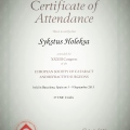 Powiększ obraz: certificate 4