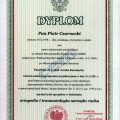 Powiększ obraz: certificate 2
