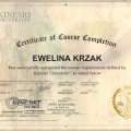 Powiększ obraz: certificate 11