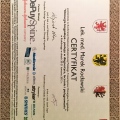 Powiększ obraz: certificate 40
