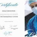 Powiększ obraz: certificate 7