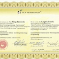 Powiększ obraz: certificate 5