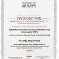 Powiększ obraz: certificate 11