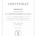 Powiększ obraz: certificate 7