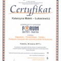 Powiększ obraz: certificate 5