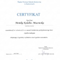 Powiększ obraz: certificate 17