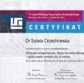 Powiększ obraz: certificate 1