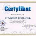 Powiększ obraz: certificate 27