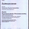 Powiększ obraz: certificate 3