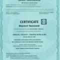 Powiększ obraz: certificate 9