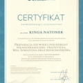 Powiększ obraz: certificate 2