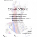 Powiększ obraz: certificate 9