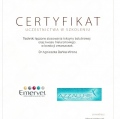 Powiększ obraz: certificate 2