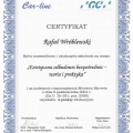 Powiększ obraz: certificate 3